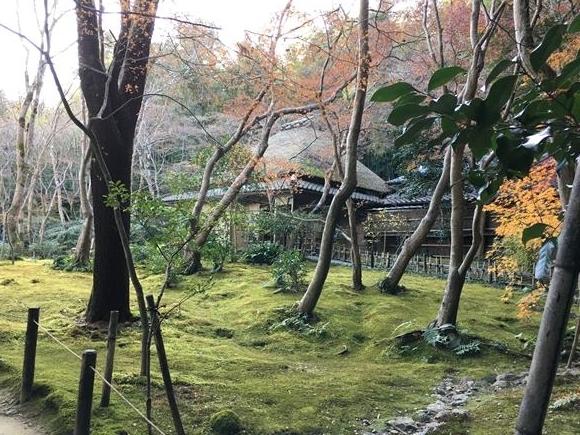 やっぱり今日もひきこもる私 4 東京のひきこもり 千年前のひきこもり村を歩く Vosot ぼそっとプロジェクト