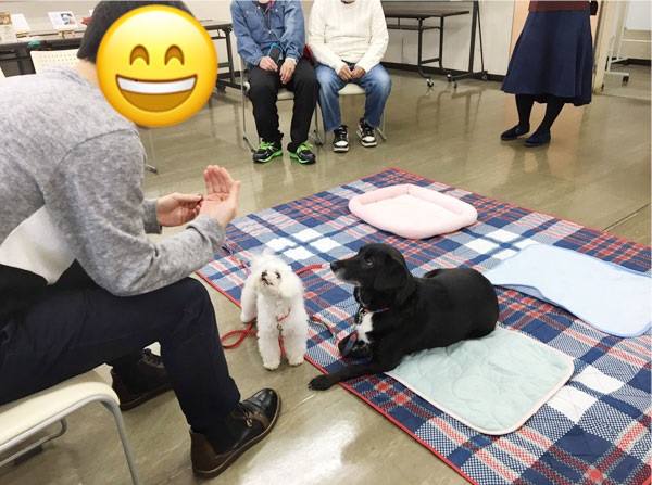 f:id:Vosot:20200204144133j:plain f:id:Vosot:20200204144133j:plain