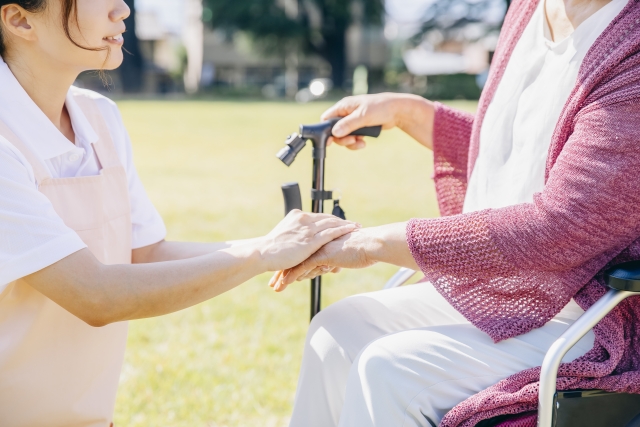 f:id:Vosot:20210626100644j:plain