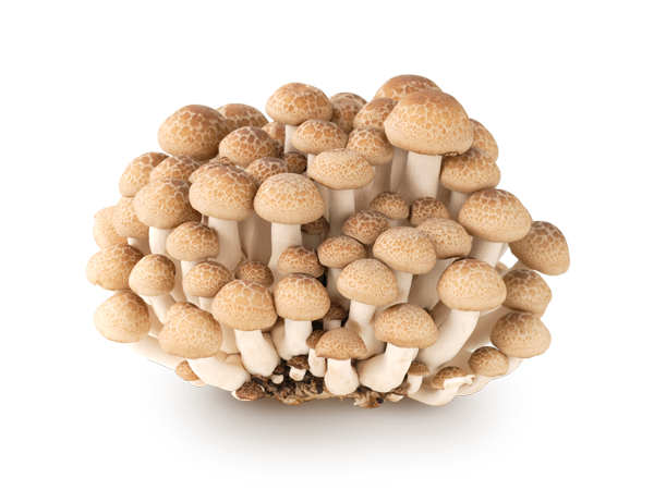 f:id:Voyageur:20161119090640p:plain