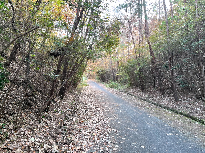 神出山田自転車道-3