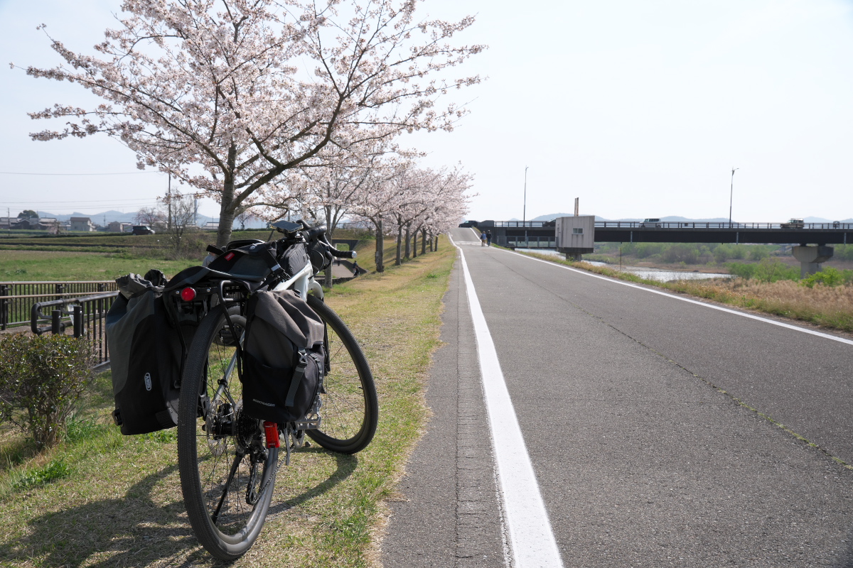 おの桜つづみ回廊-6