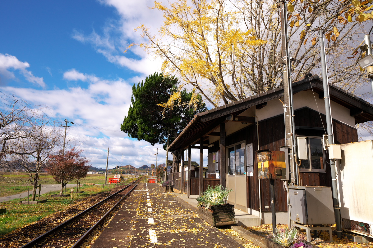 網引駅-1