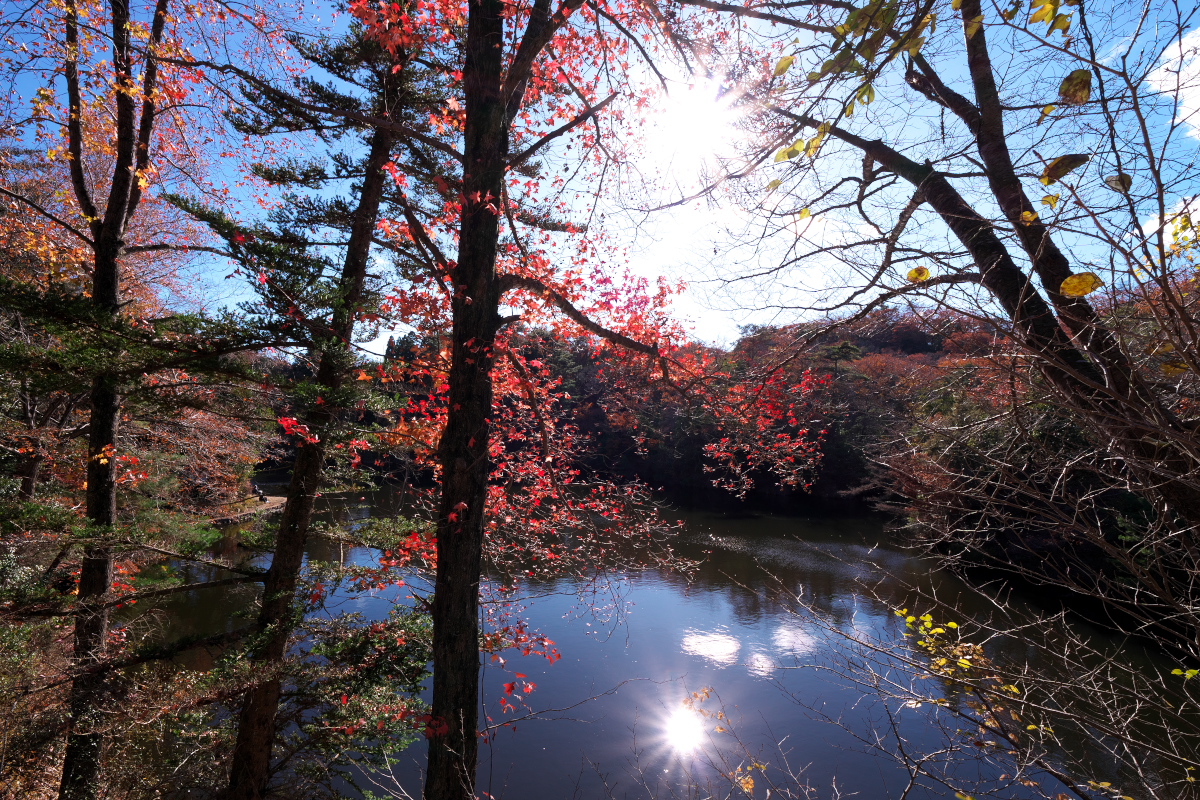 洞川湖