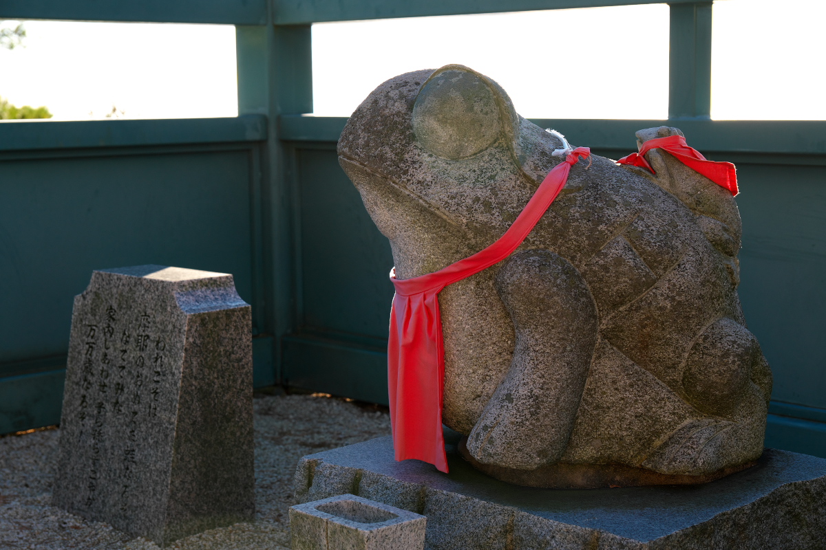 天上寺 お愛でたガエル