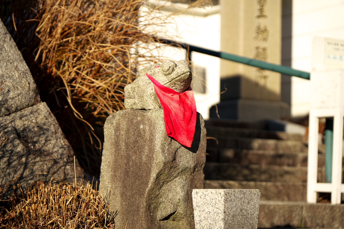 天上寺 若ガエル