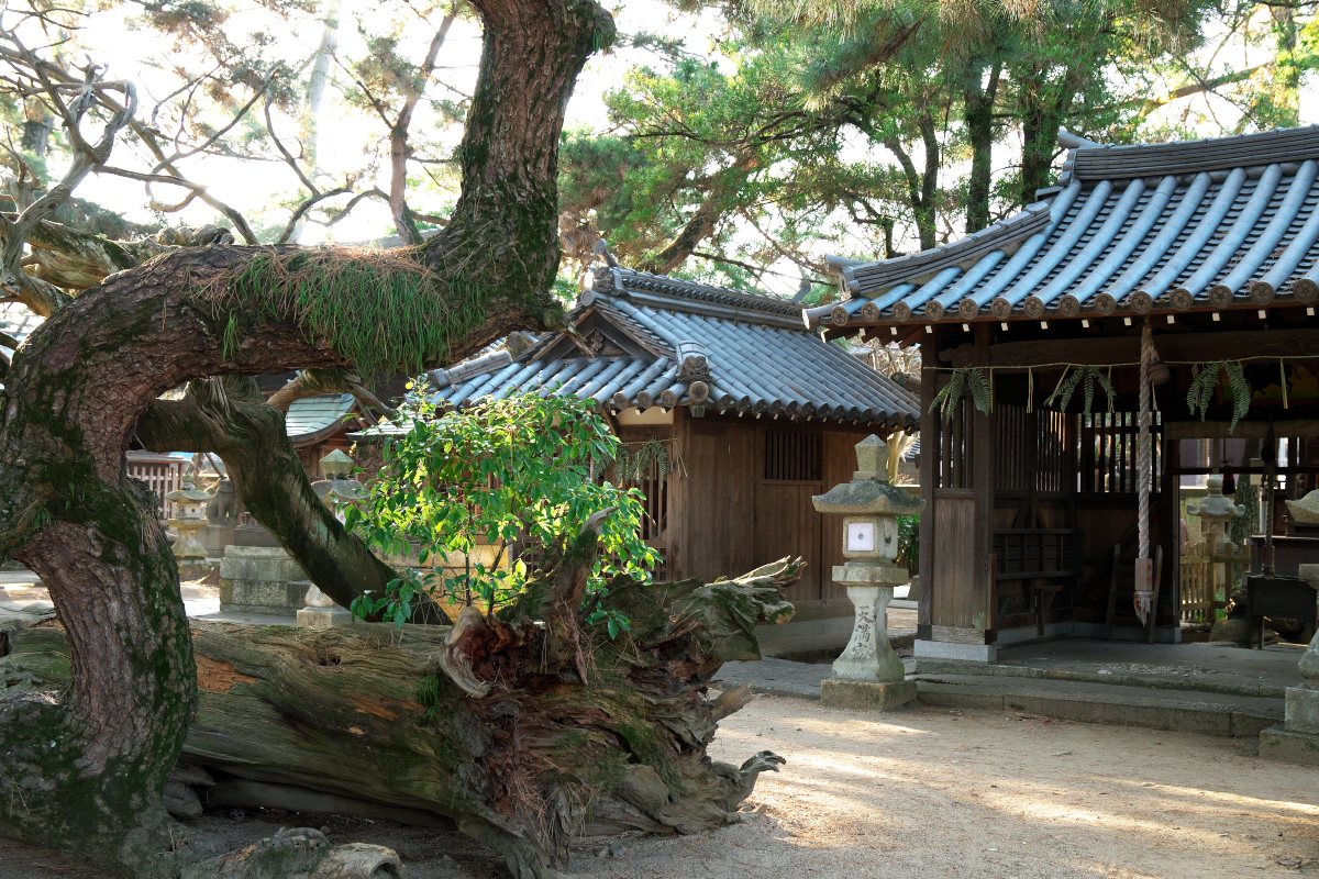 高砂神社 境内