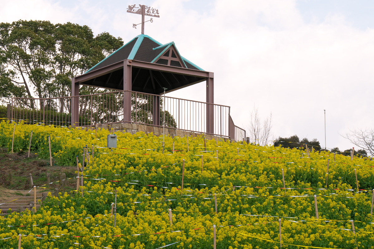 総合運動公園-1