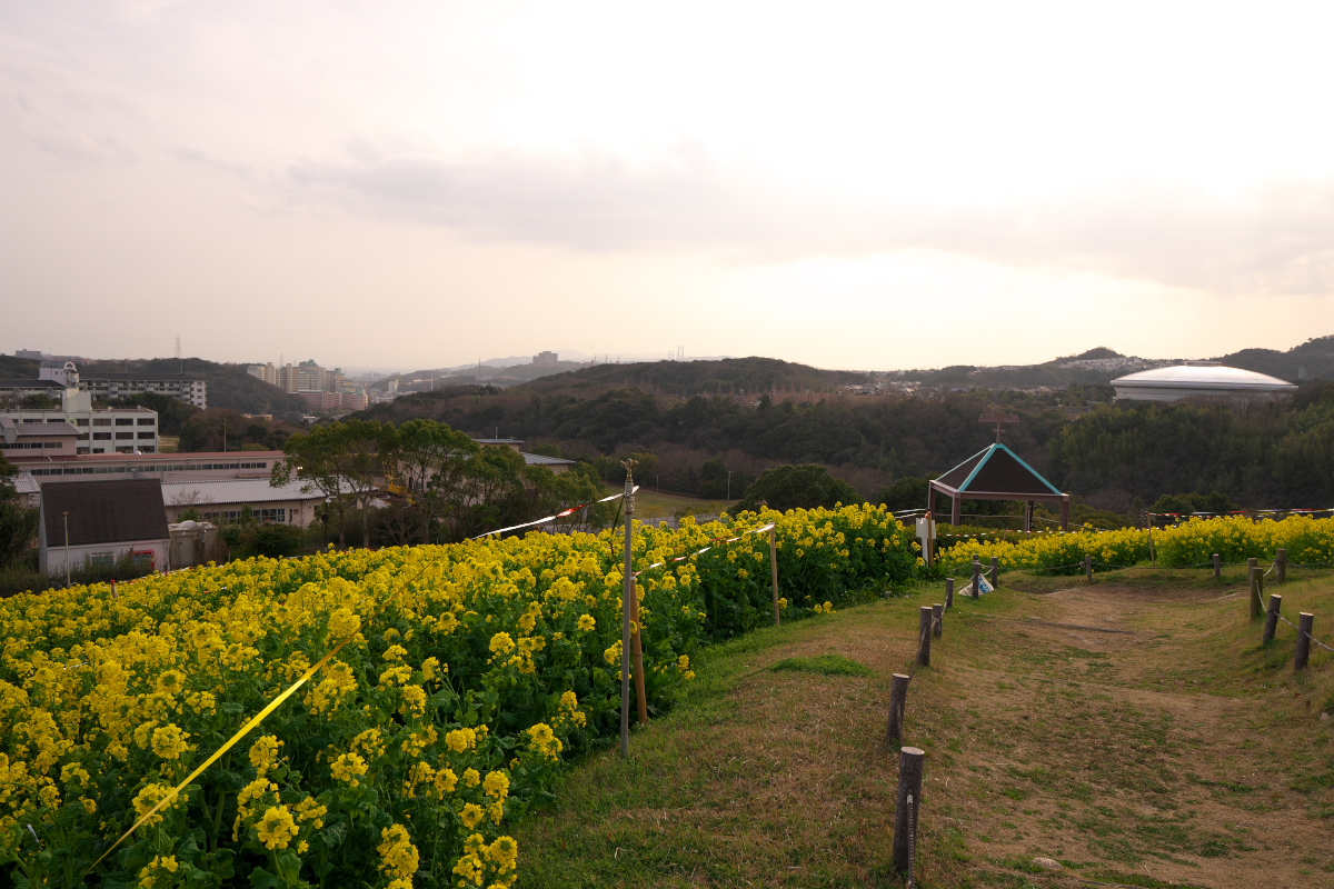 総合運動公園-5