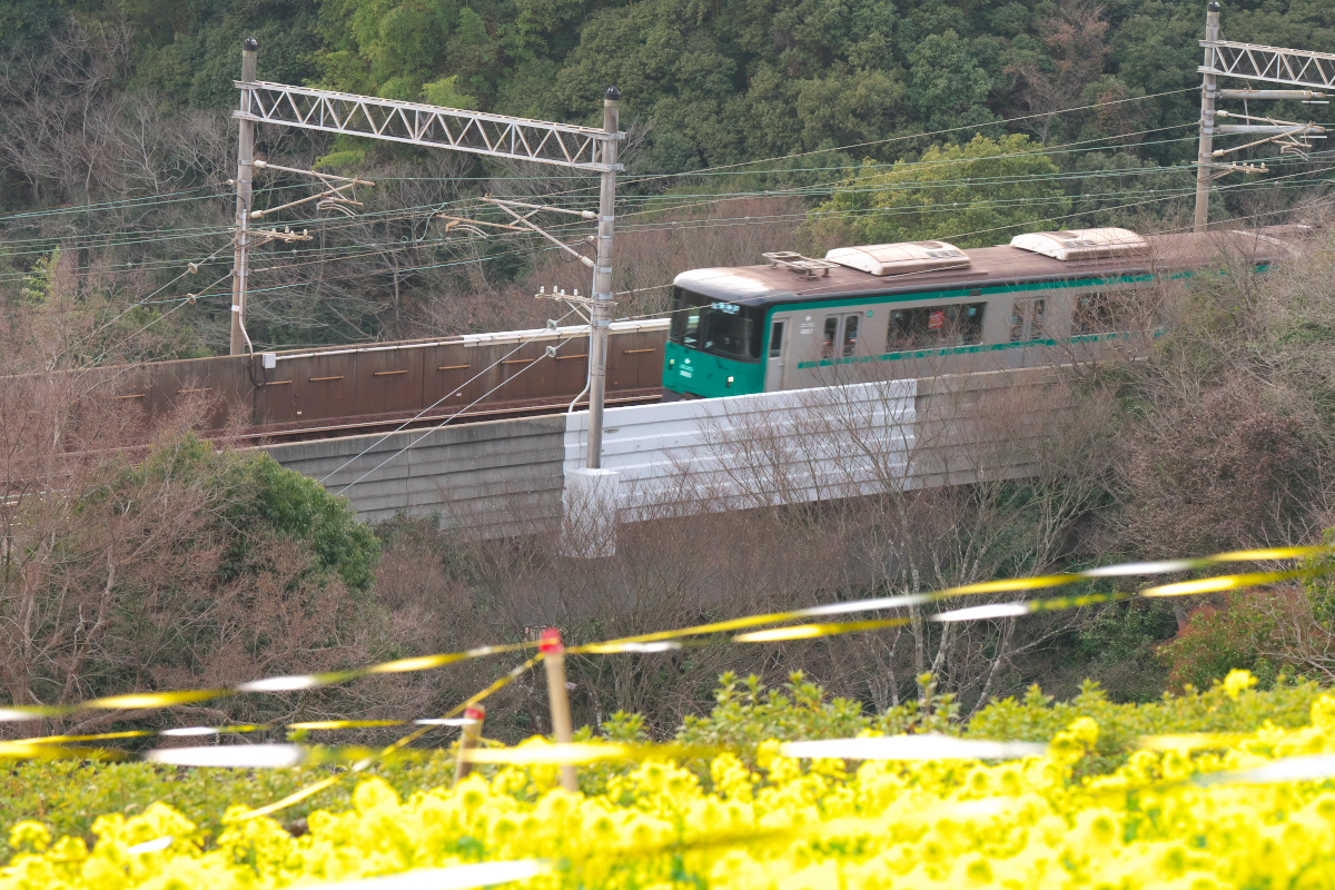 総合運動公園-6