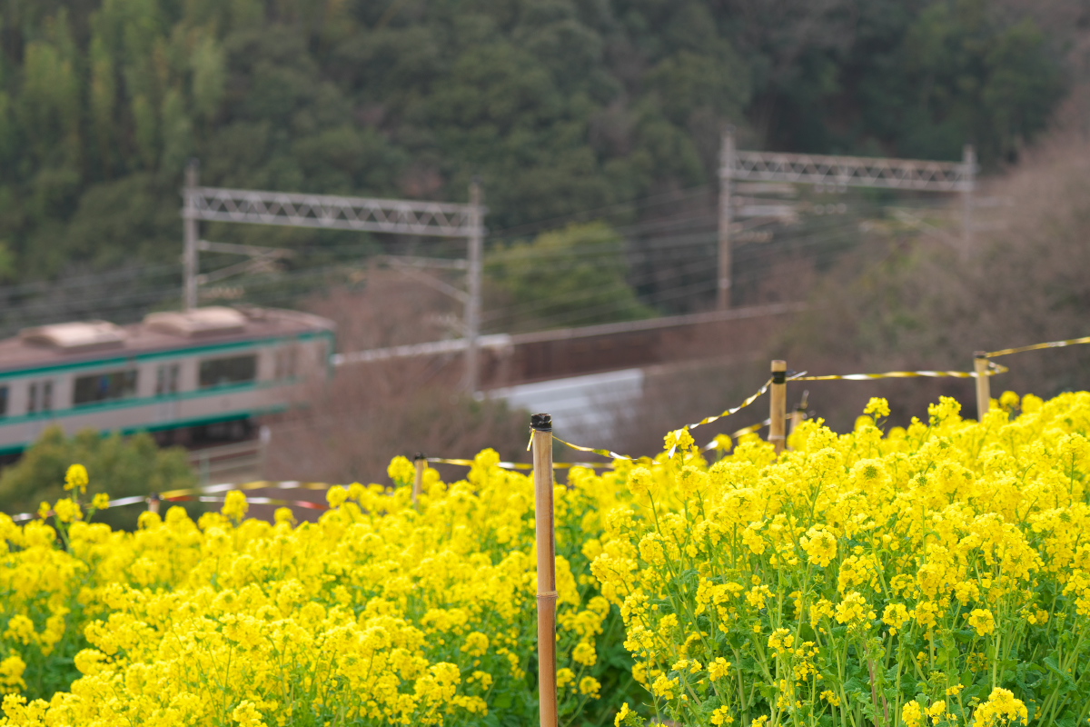 総合運動公園-7