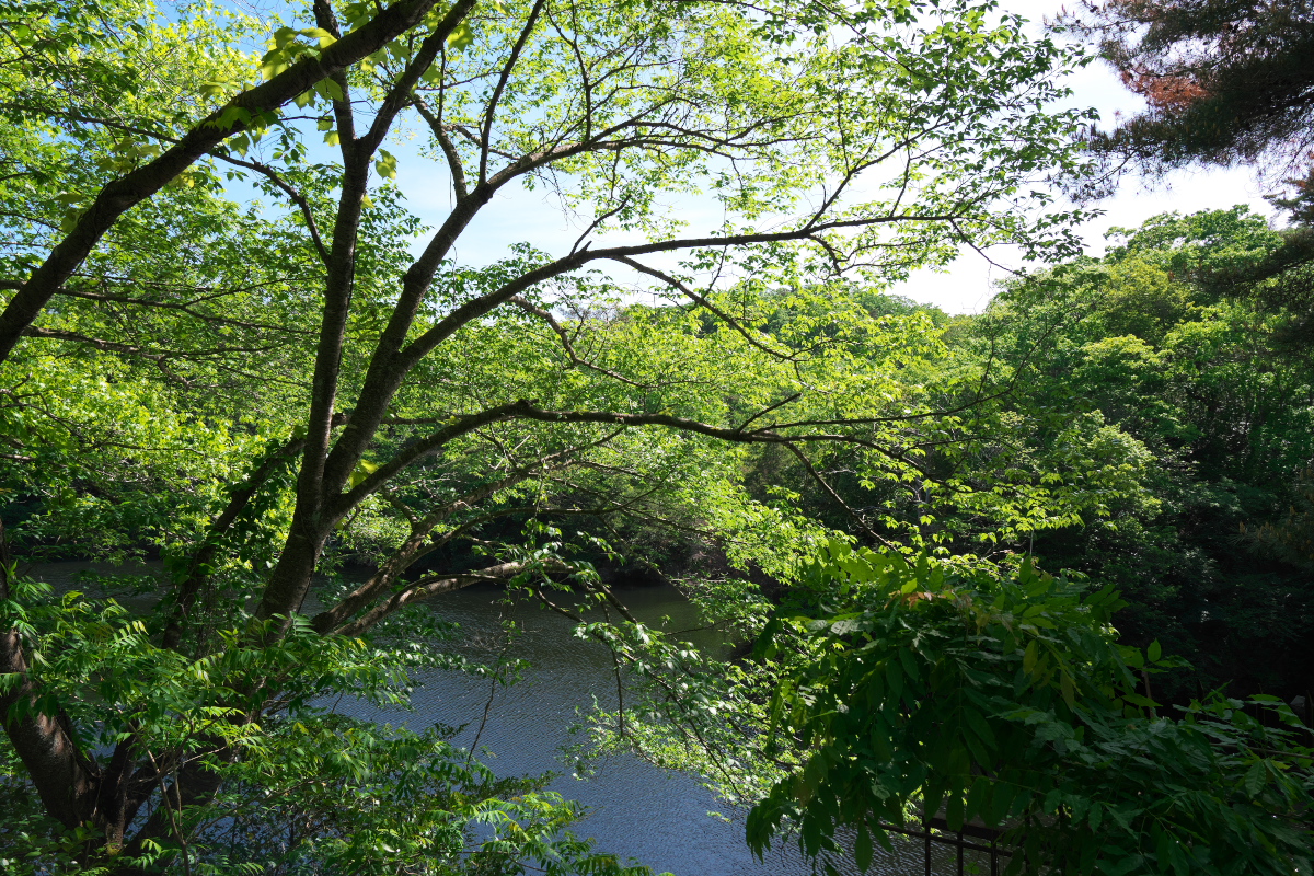 洞川湖