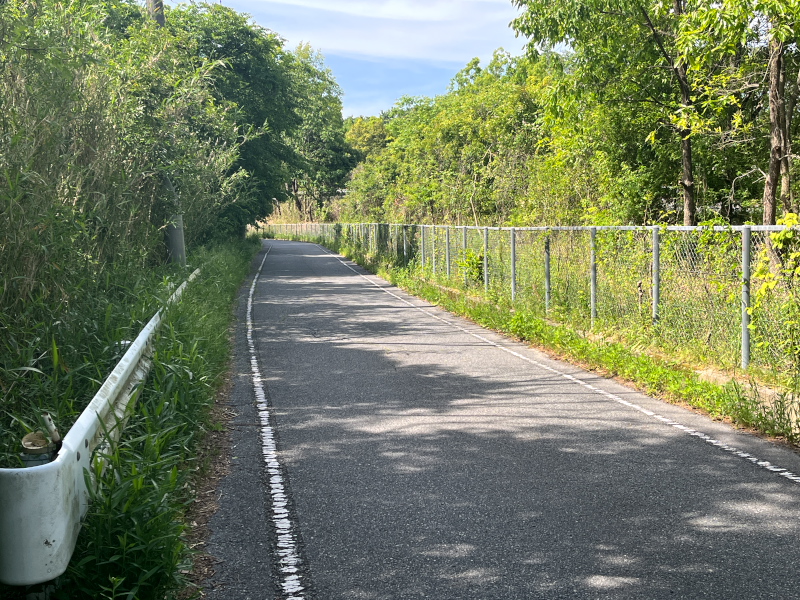 六甲北有料道路横