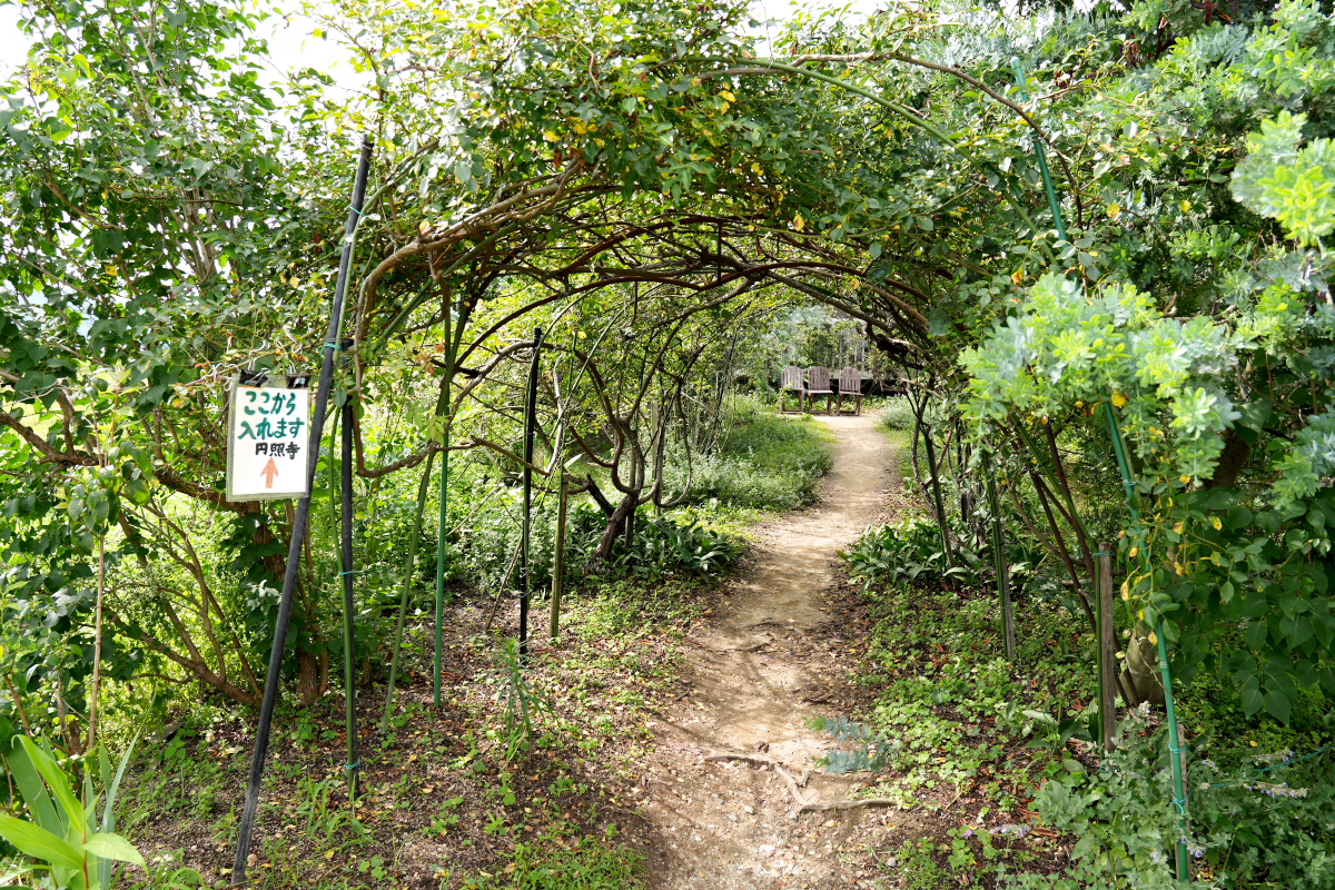 円照寺-1