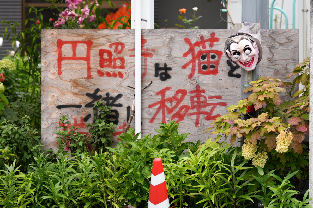 円照寺向かい