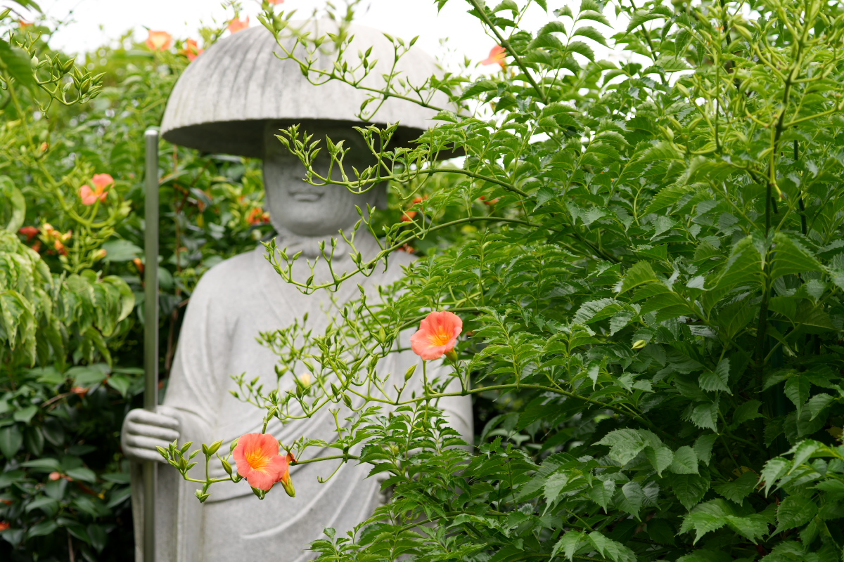 円照寺-5