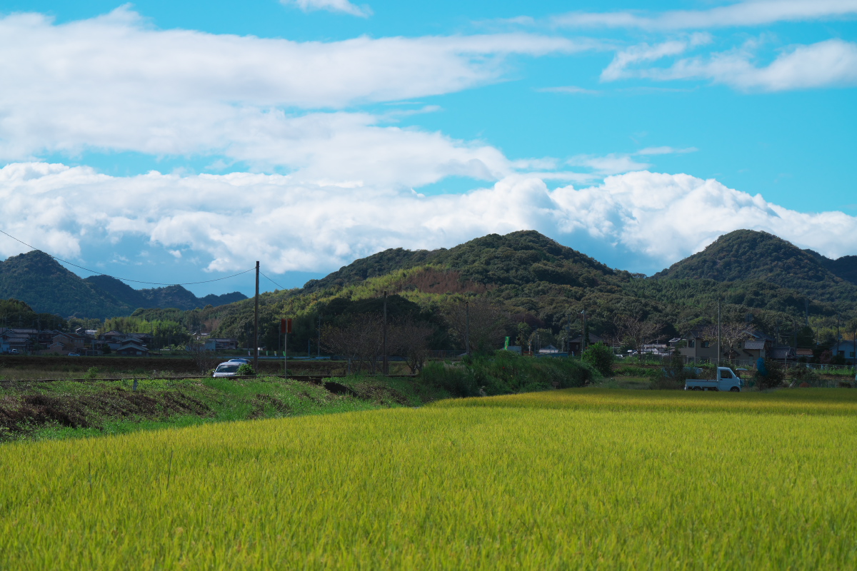 網引駅-5