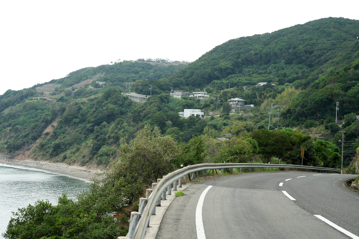 南淡路水仙ライン-2