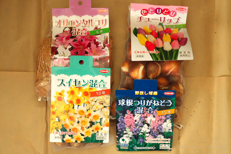 種苗大手の「サカタのタネ」から株主優待の球根セットが届きました