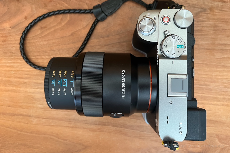 SONYの標準マクロレンズ「FE 50mm F2.8 Macro（SEL50M28