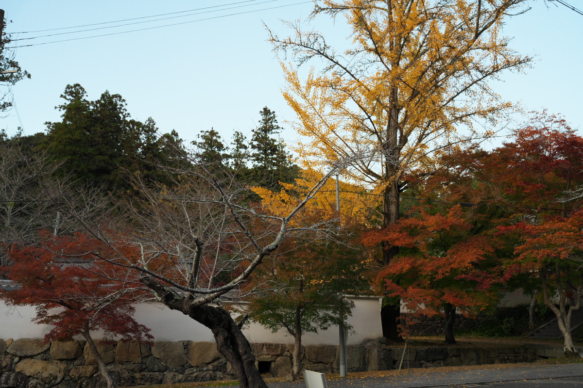 一乗寺-2