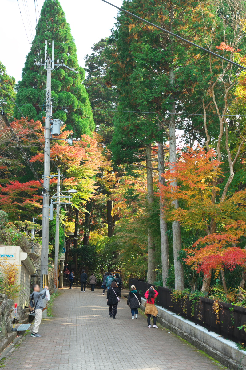 有馬温泉-9