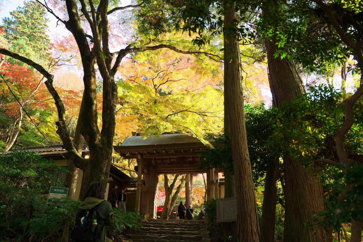 瑞宝寺公園-1