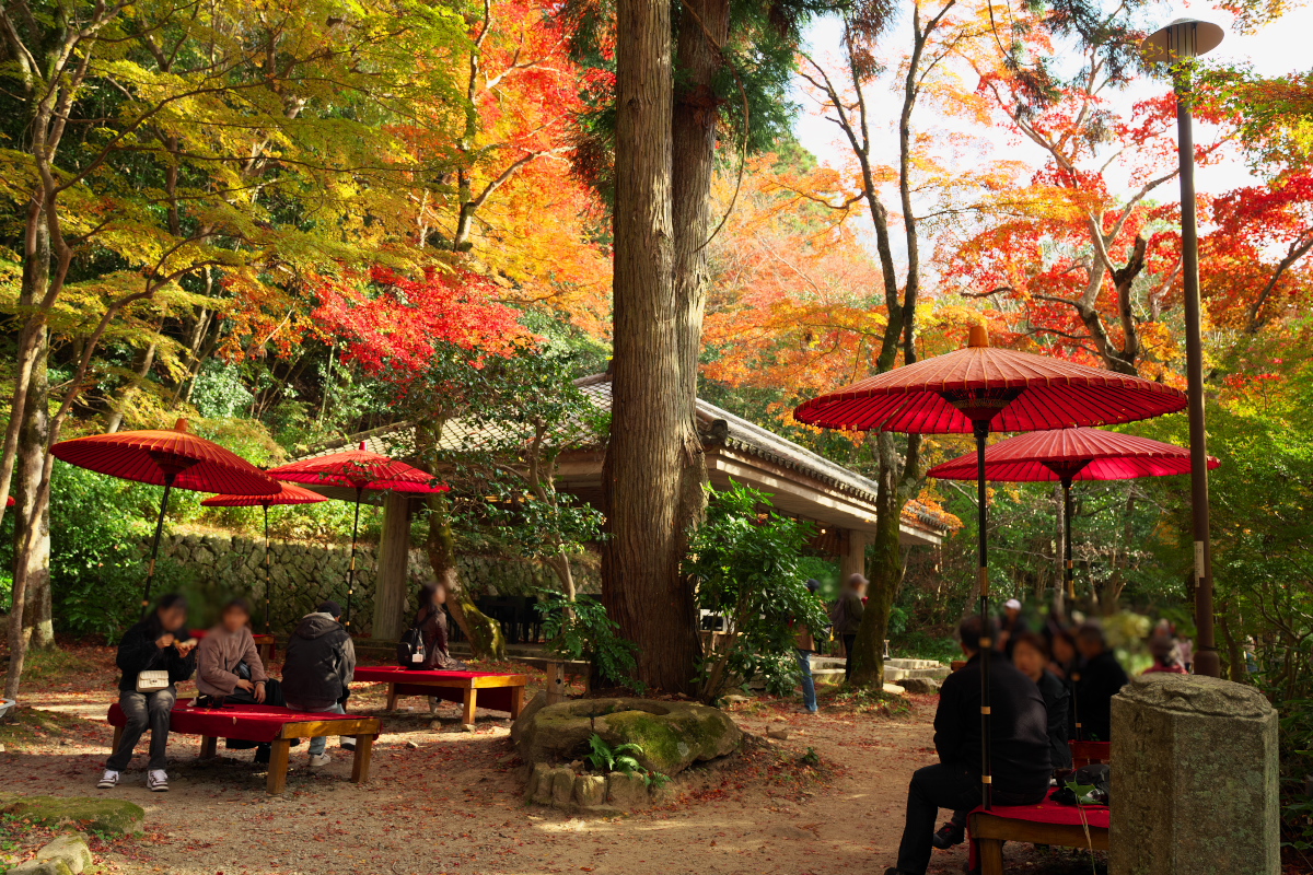 瑞宝寺公園-2