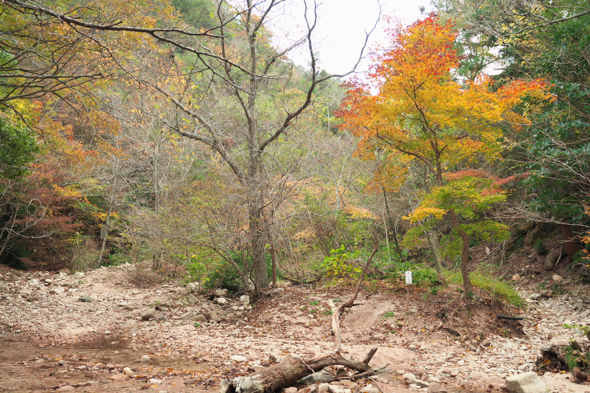瑞宝寺公園-6