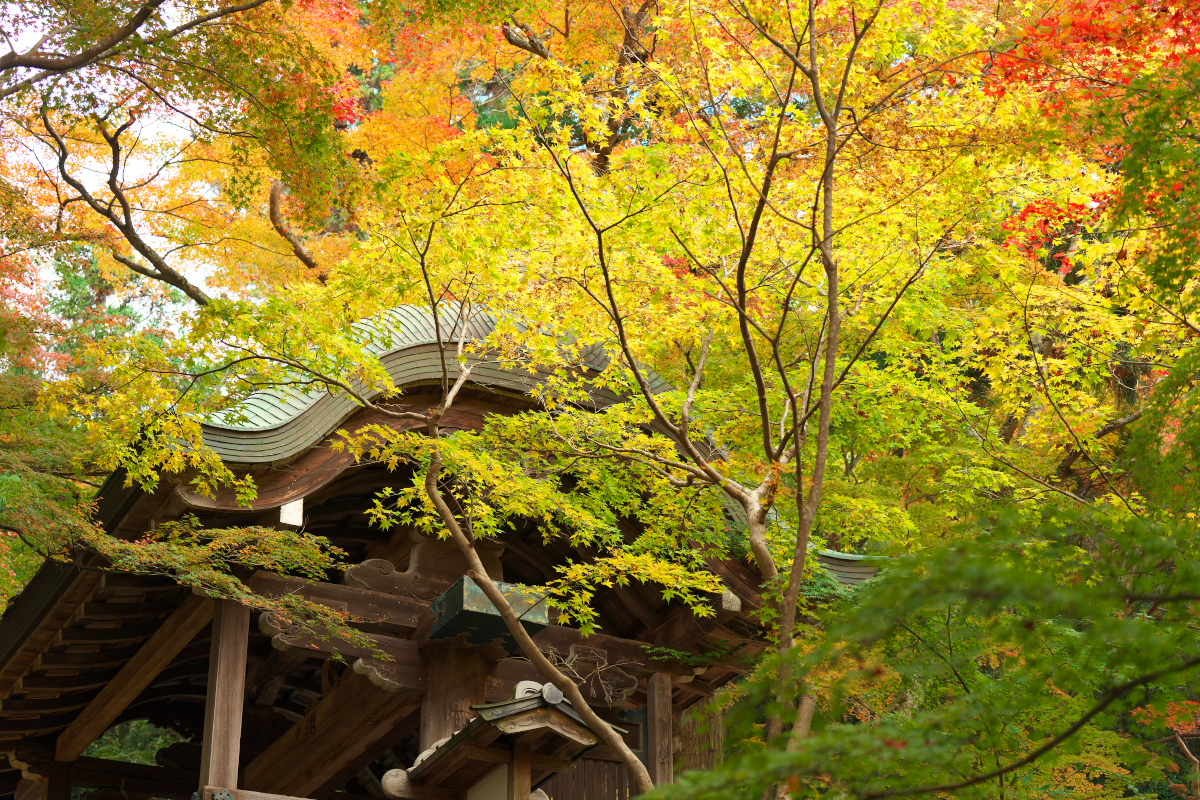 瑞宝寺公園-16