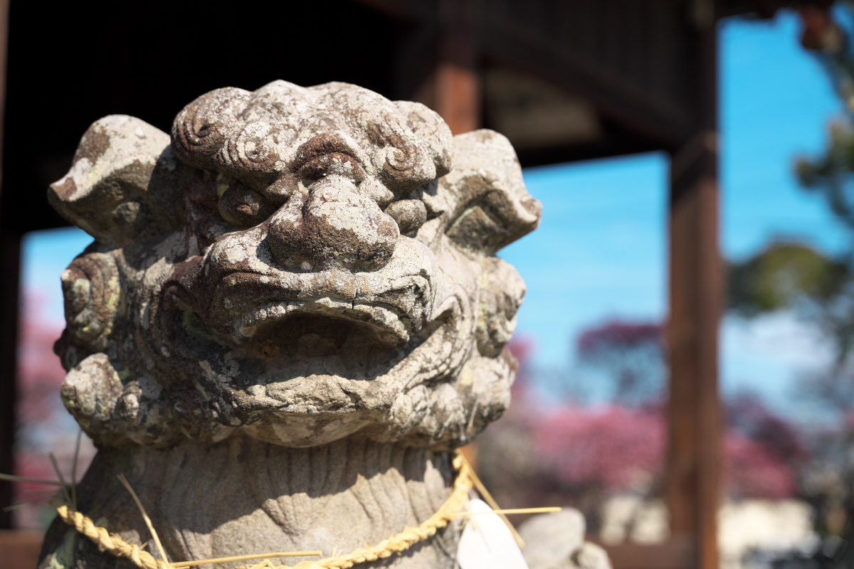 御厨神社-4