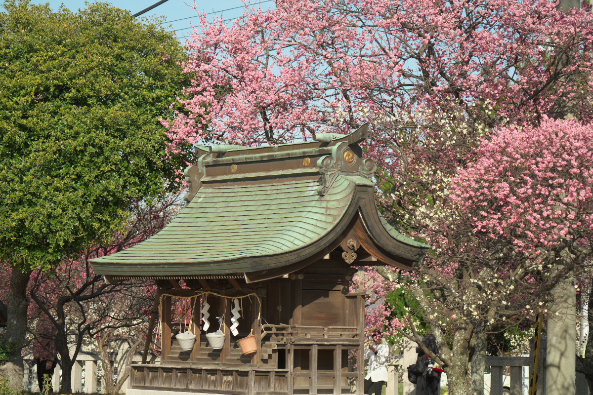 御厨神社-9