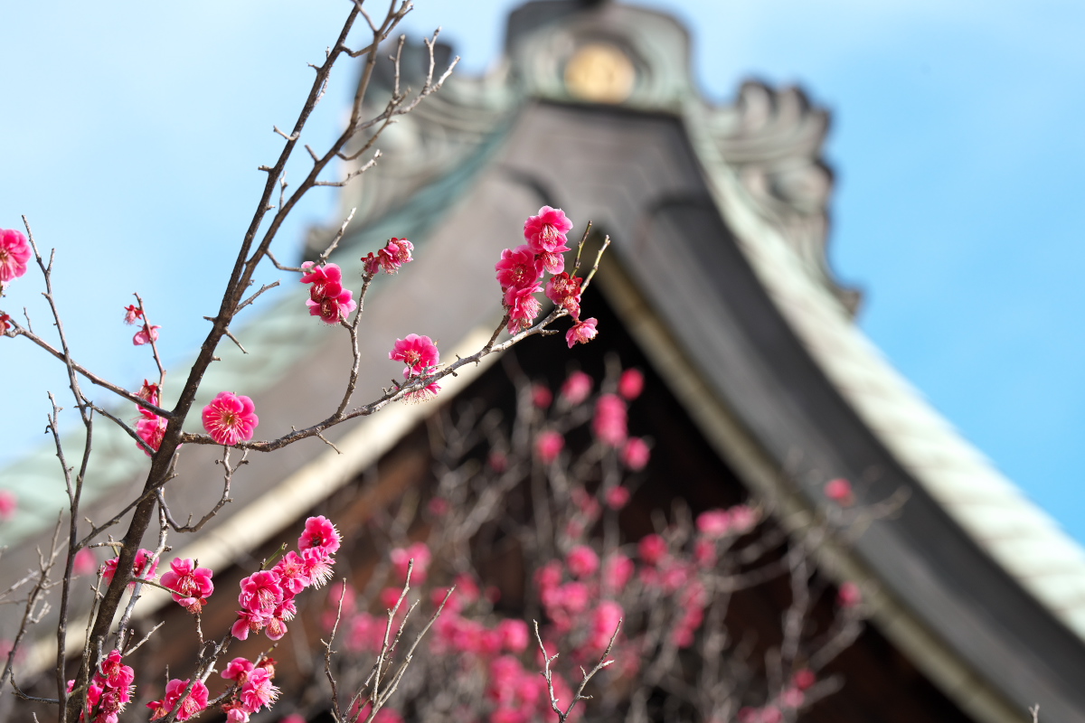 御厨神社-14