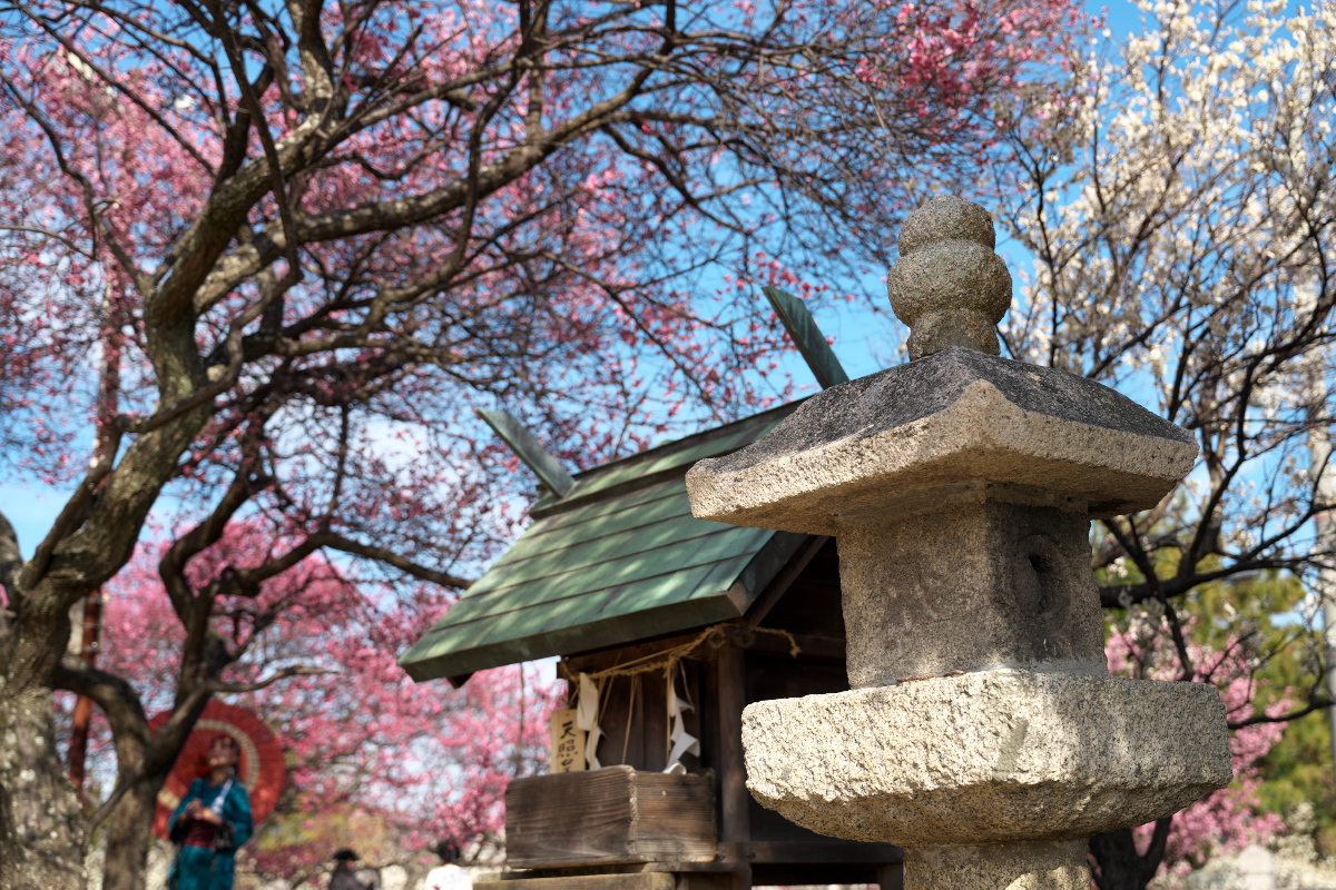 御厨神社-15
