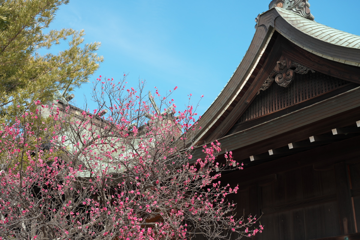 御厨神社-17