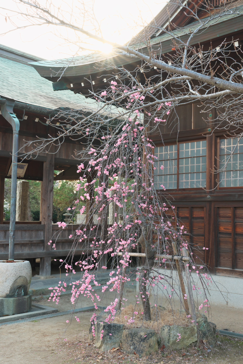 御厨神社-24