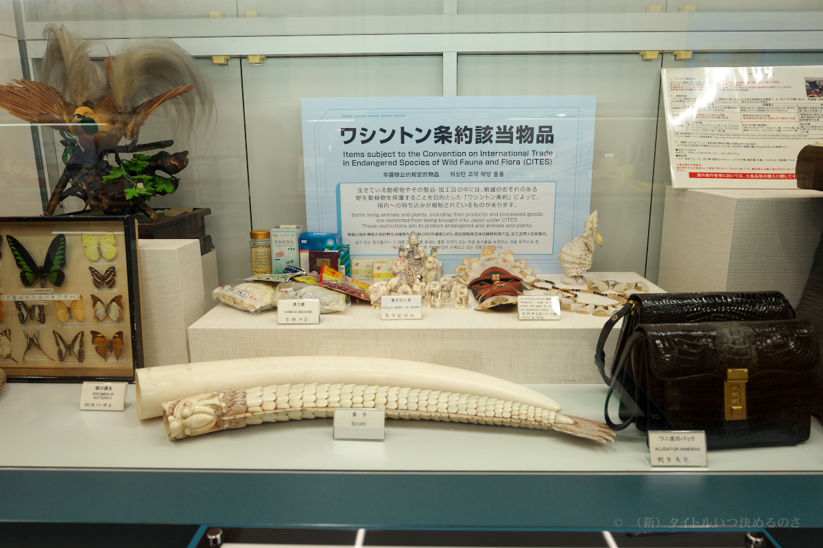 密輸品-1
