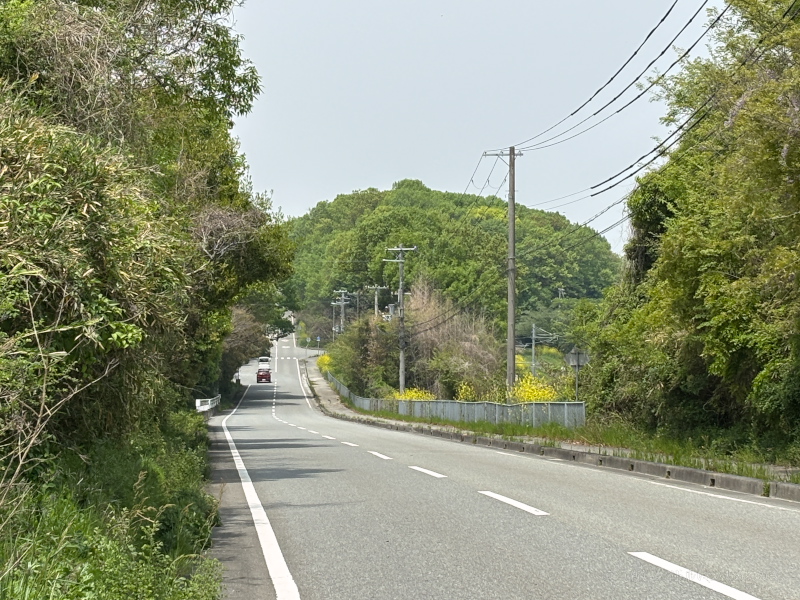 県道349
