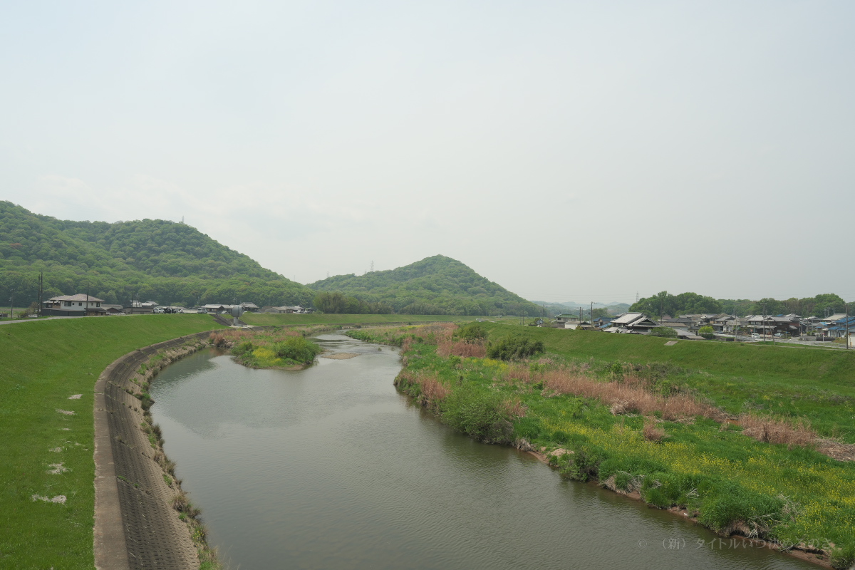 万願寺川-1