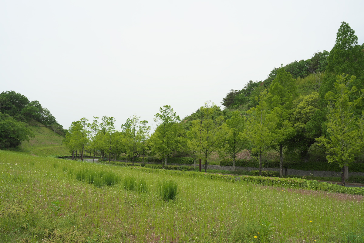 しあわせの村入口
