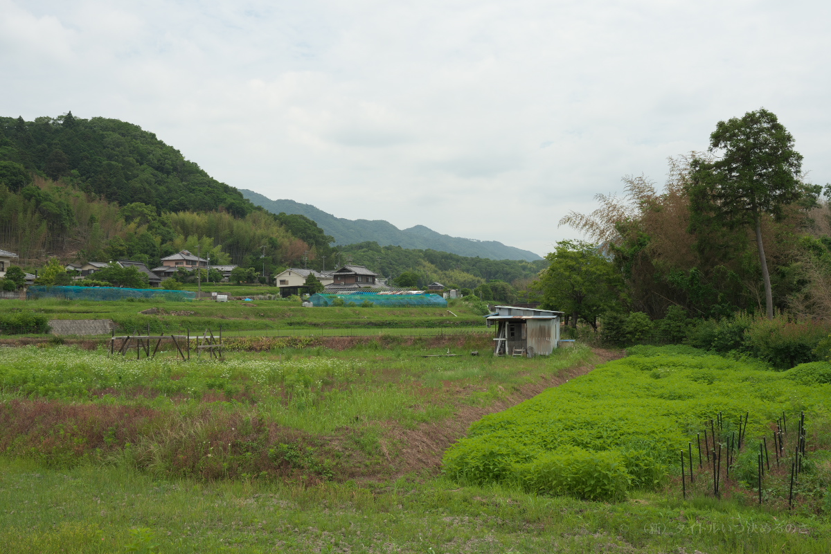 山田町