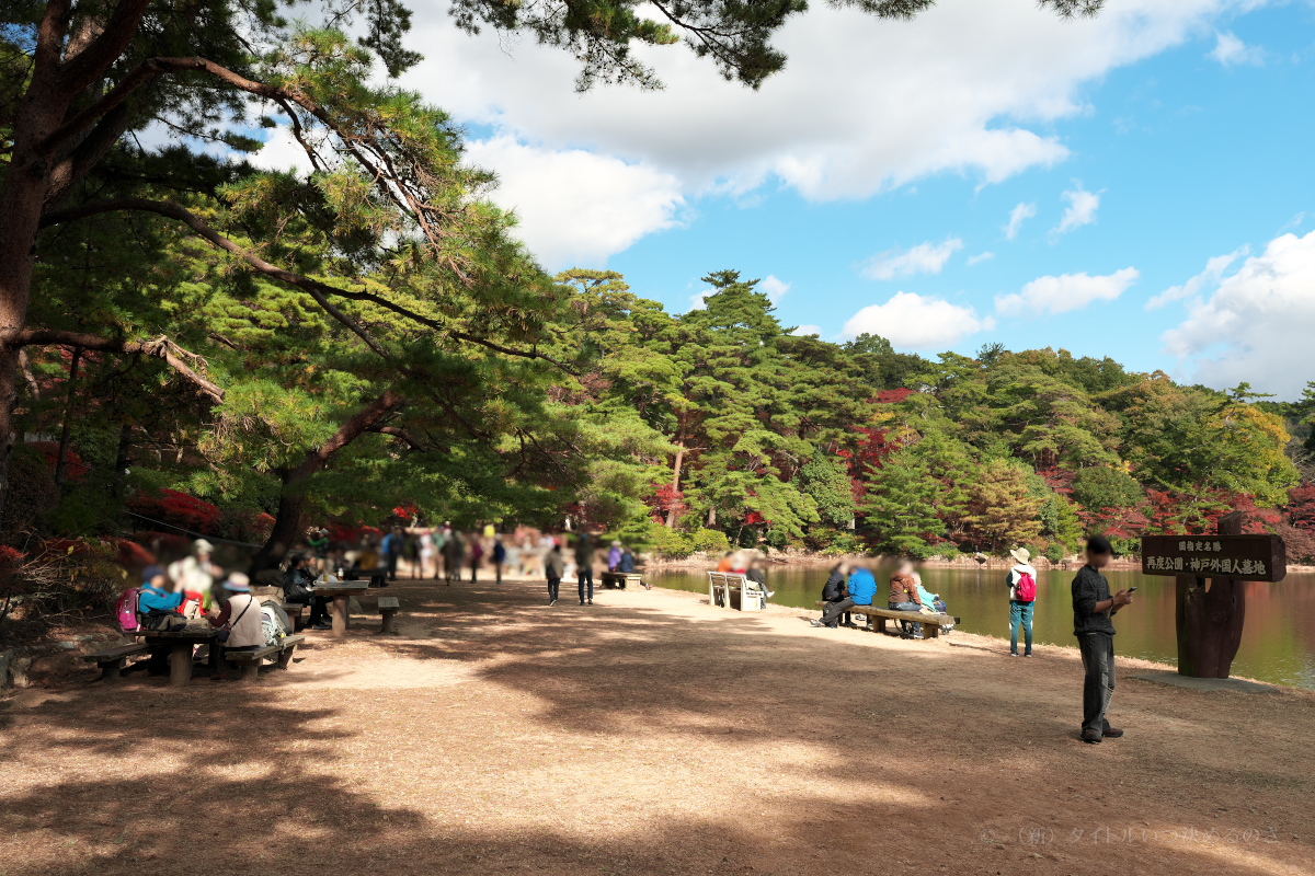 再度公園-9