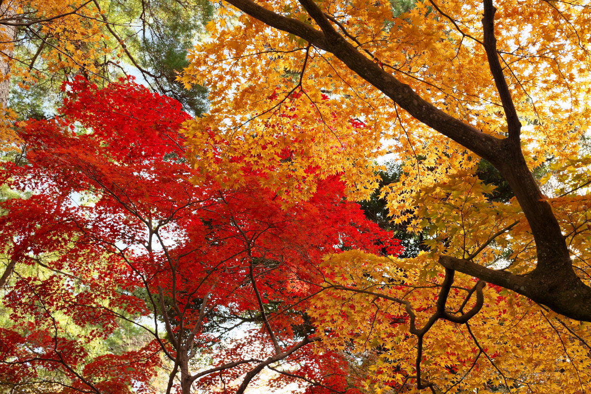 再度公園-12