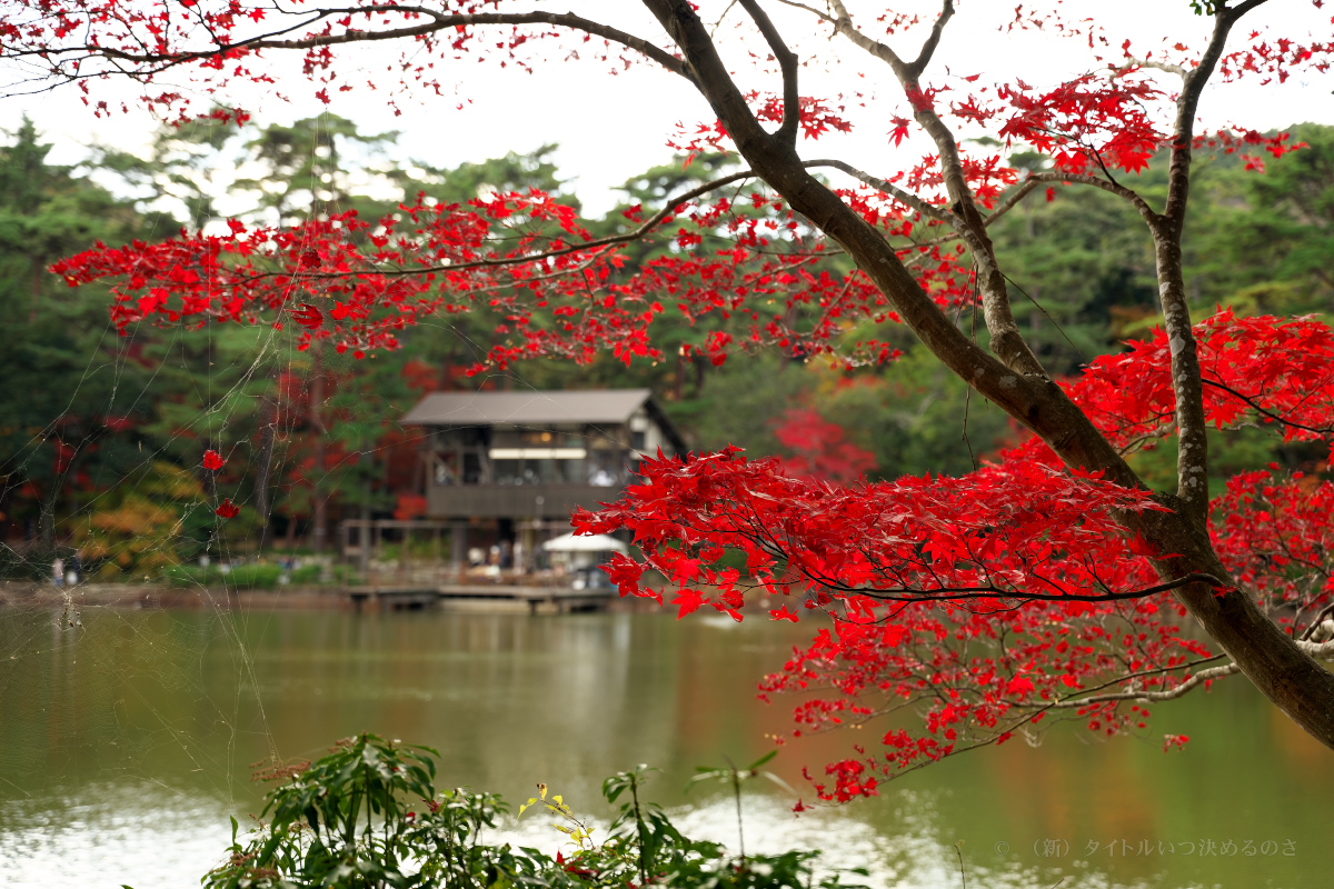 再度公園-13