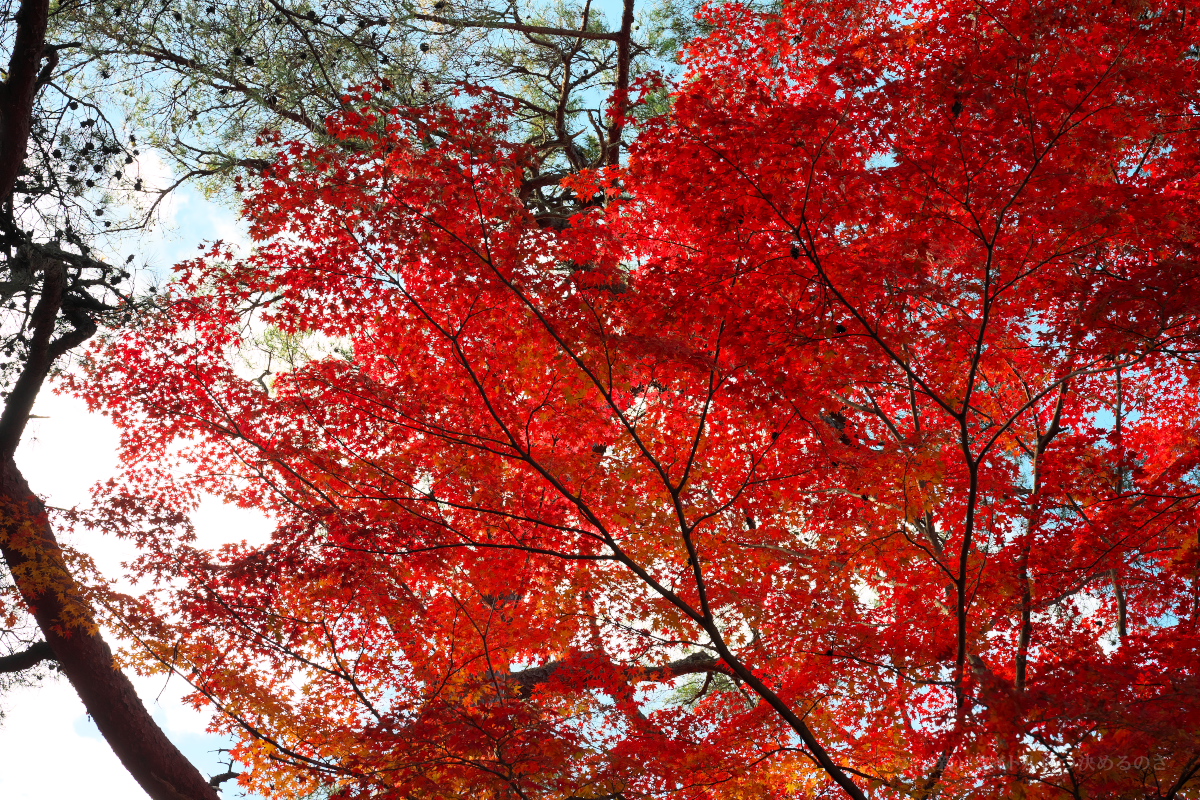 再度公園-16