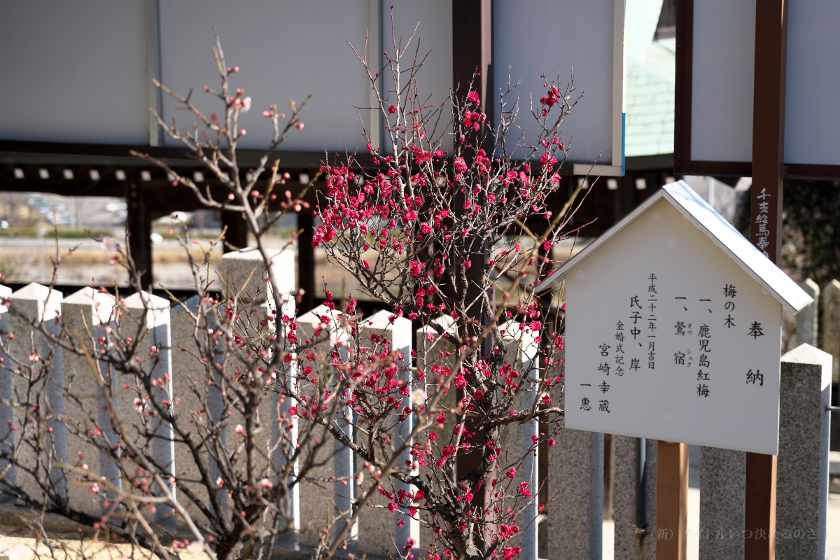 生石神社-29