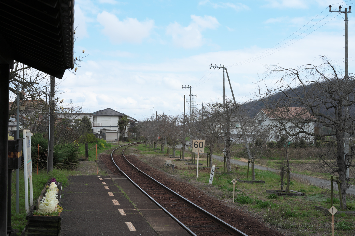 網引駅-1
