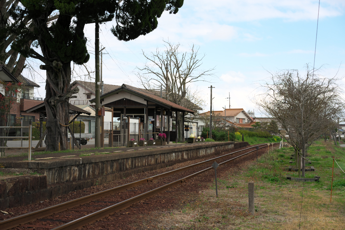 網引駅-3