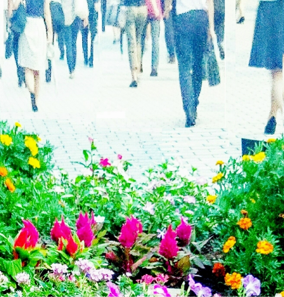 f:id:WALKING43:20160831004459j:plain f:id:WALKING43:20160831004459j:plain