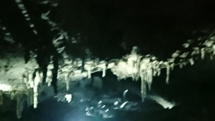 f:id:WANNABE:20190501190116j:plain